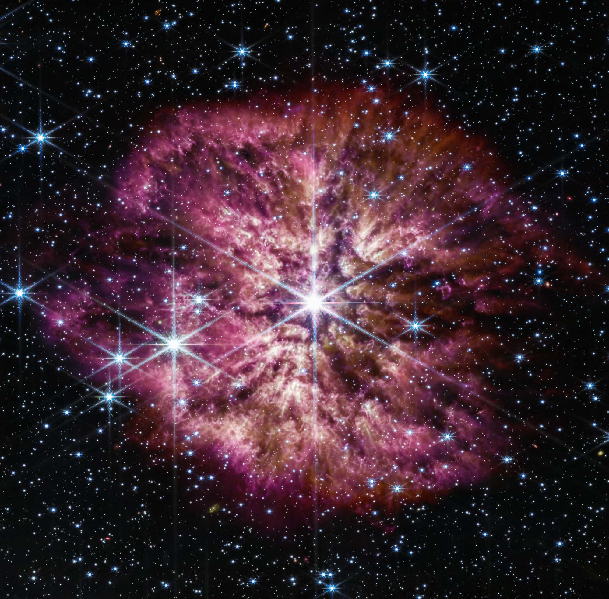 L'étoile Wolf-Rayet 124 vue par NirCam et Miri