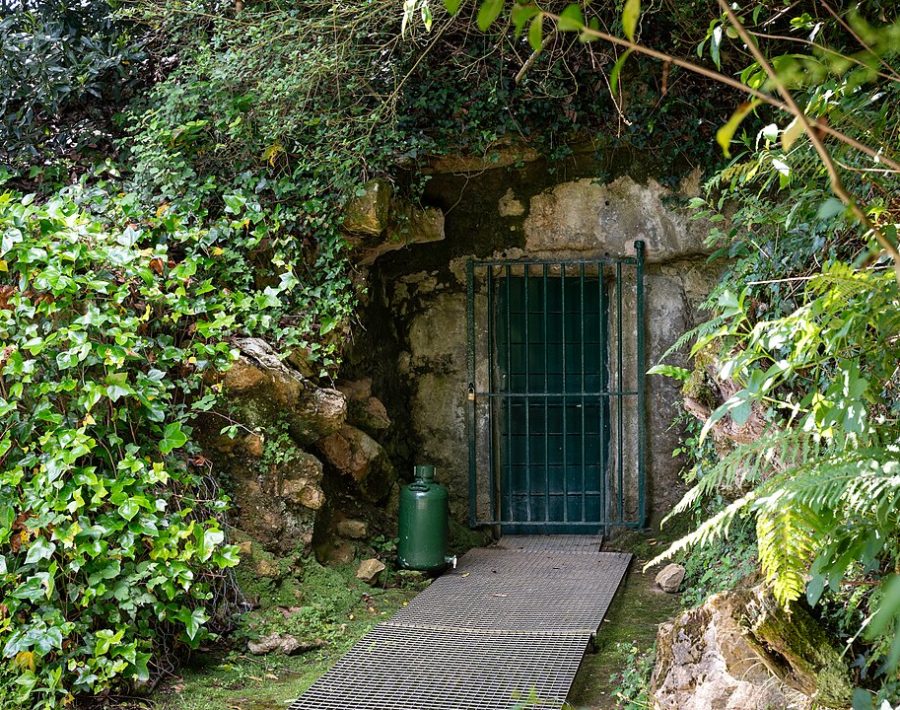 1082px-Cueva_de_Altamira_1_visitor_entrance