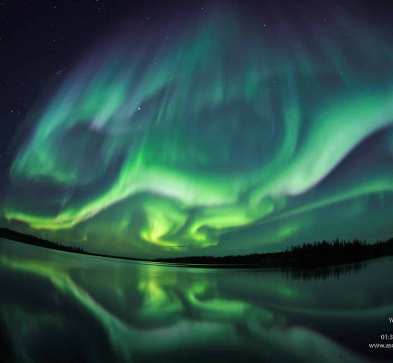 aurora-max
