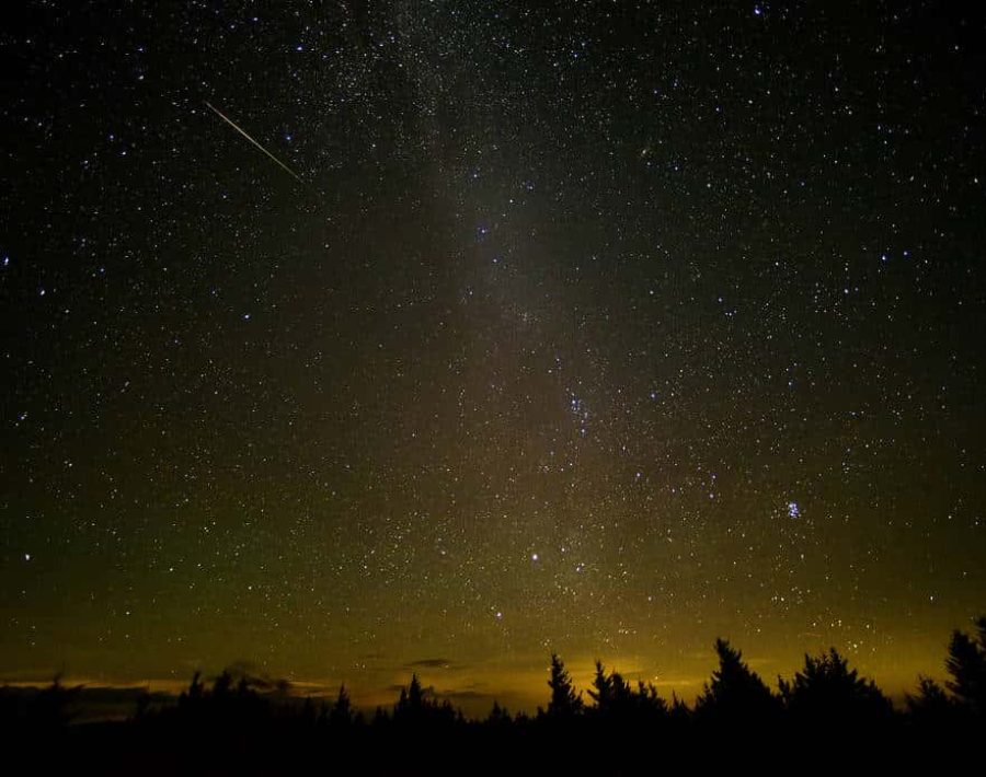 Perseid Meteor Shower