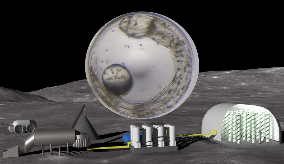 Des poissons sur la Lune ? Oui, pour les manger…