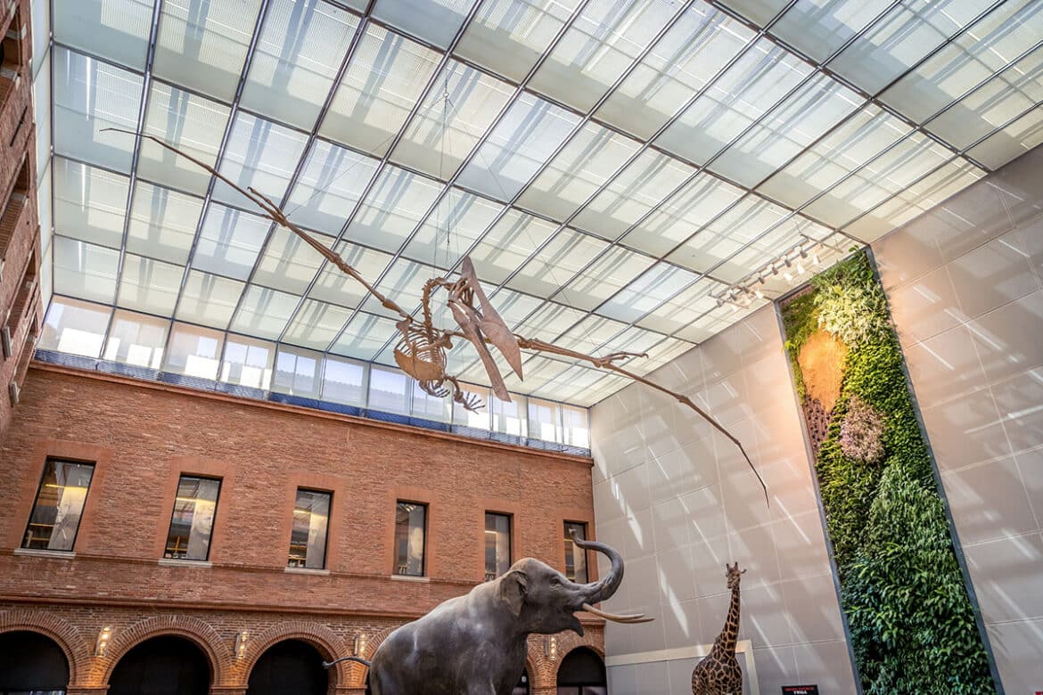 Museum