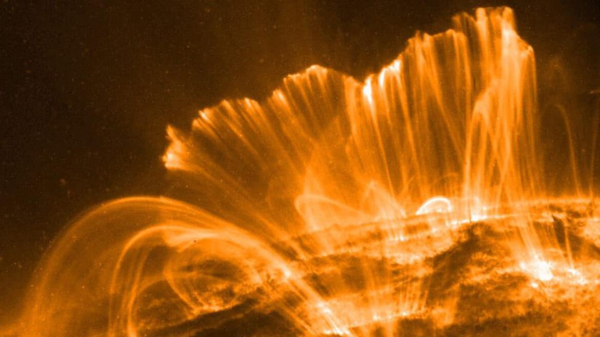 Des fossiles révèlent l&rsquo;existence d&rsquo;une tempête solaire il y a 14000 ans