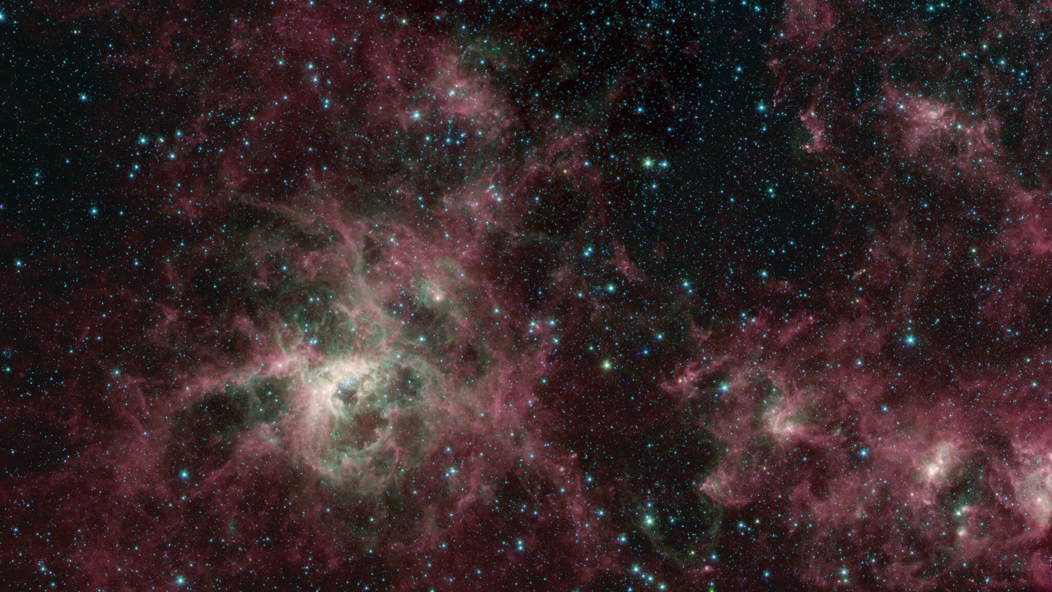 La nébuleuse de la Tarentule est située dans le Grand Nuage de Magellan, une galaxie naine satellite de la nôtre à 160 000 années-lumière. Il s’agit là d’une zone de formation d’étoiles à l’activité particulièrement intense. Crédit : NASA/JPL-Caltech