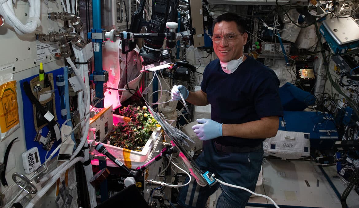 Le mystère de la tomate perdue dans l&rsquo;ISS enfin résolu !